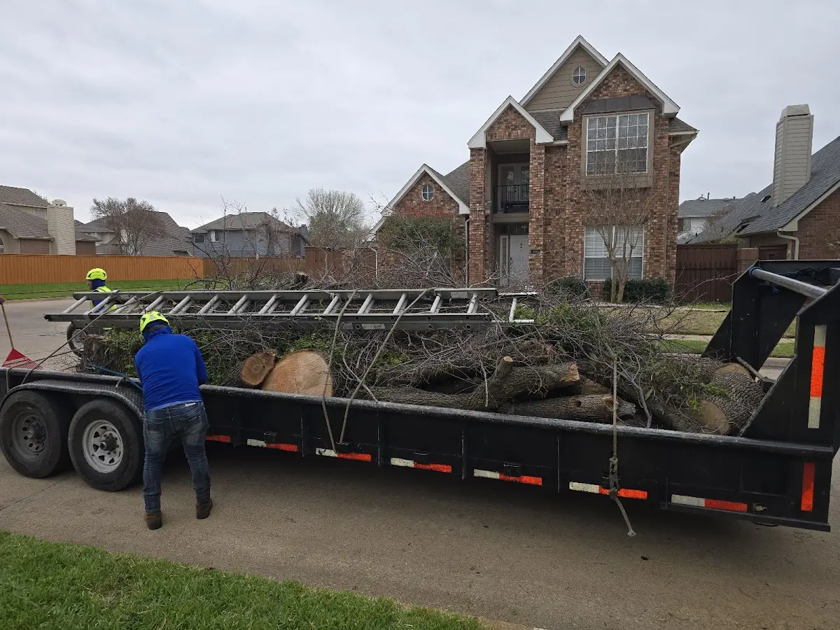 Expert Lot Clearing with proper safety equipment in Garvin